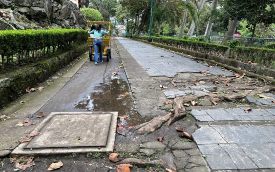 Sitios turísticos de Xalapa, en el abandono