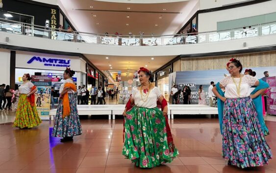 Invita IMSS Veracruz Sur a cursos y talleres en sus diversos Centros de Seguridad Social