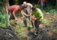 El ayuntamiento de Cosoleacaque intensifica limpieza de canales y arroyos