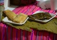 Impulsa Festival del Mar talentos locales y la economía en Coatzacoalcos