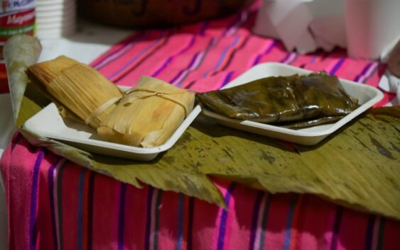 Impulsa Festival del Mar talentos locales y la economía en Coatzacoalcos