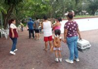 Realiza gobierno de Coatzacoalcos Jornada de Vacunación Felina y Canina en La Alameda