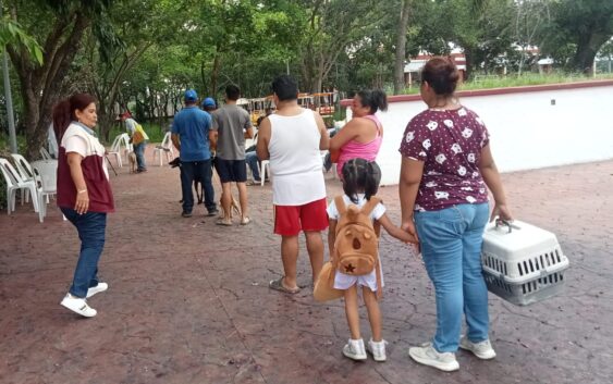 Realiza gobierno de Coatzacoalcos Jornada de Vacunación Felina y Canina en La Alameda