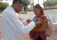Realiza gobierno de Coatzacoalcos Jornada de Vacunación Felina y Canina en La Alameda