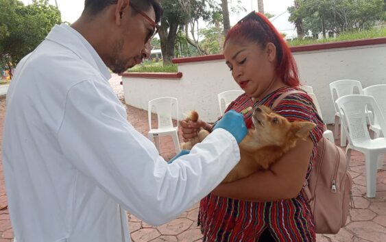 Realiza gobierno de Coatzacoalcos Jornada de Vacunación Felina y Canina en La Alameda