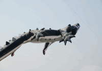 Festival del Mar 2025 inunda el cielo de Coatzacoalcos con papalotes monumentales