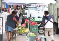 Canasta básica se dispara 40 %: familias en Veracruz han perdido casi la mitad de su poder de compra en un año