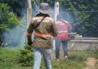 Cosoleacaque mantiene lucha permanente contra el dengue