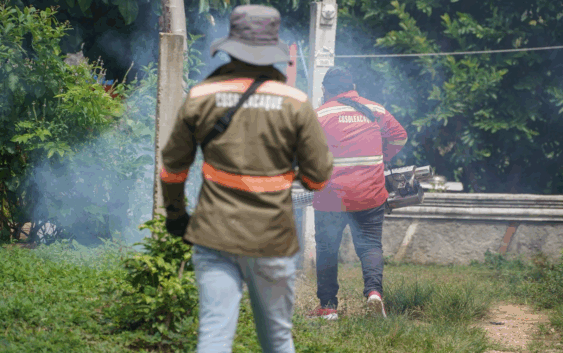 Cosoleacaque mantiene lucha permanente contra el dengue