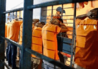 Rocío Nahle señaló que realizarán diagnóstico sobre el motín en Cereso de Tuxpan, Veracruz