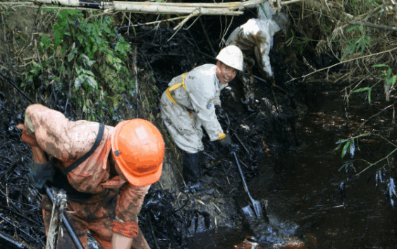 Por derrame en Pemex hay mortandad de ganado en el sur de Veracruz