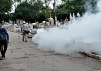Refuerza Gobierno de Coatzacoalcos acciones contra el Dengue con fumigación en panteones