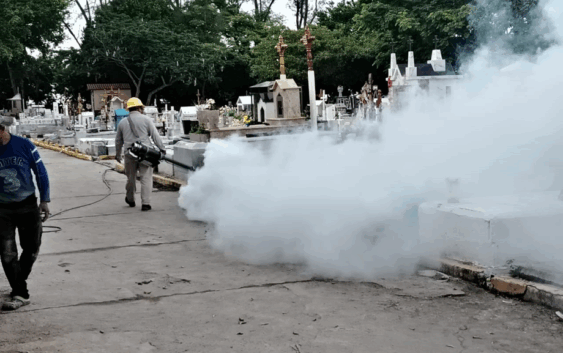 Refuerza Gobierno de Coatzacoalcos acciones contra el Dengue con fumigación en panteones