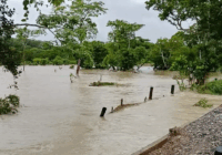 Incontables daños tras impacto de onda tropical 20 en Sayula; se pierden cientos de animales