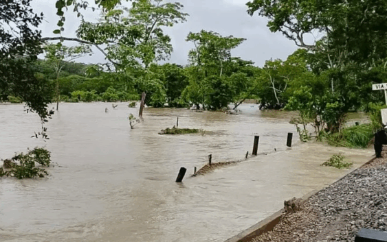 Incontables daños tras impacto de onda tropical 20 en Sayula; se pierden cientos de animales
