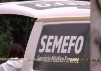 Hallan restos humanos en Álamo, Veracruz; FGE ya investiga