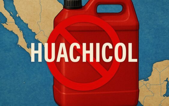 𝗗𝗘𝗧𝗜𝗘𝗡𝗘𝗡 𝗔 𝗥𝗢𝗕𝗘𝗥𝗧𝗢 “𝗡”, 𝗘𝗠𝗣𝗥𝗘𝗦𝗔𝗥𝗜𝗢 𝗚𝗔𝗦𝗢𝗟𝗜𝗡𝗘𝗥𝗢 𝗦𝗘𝗡̃𝗔𝗟𝗔𝗗𝗢 𝗗𝗘 𝗣𝗔𝗥𝗧𝗜𝗖𝗜𝗣𝗔𝗥 𝗘𝗡 𝗥𝗘𝗗 𝗗𝗘 𝗛𝗨𝗔𝗖𝗛𝗜𝗖𝗢𝗟 𝗙𝗜𝗦𝗖𝗔𝗟