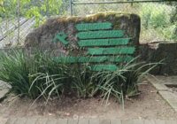 Macuiltépetl, tesoro con historia y naturaleza Pulmón verde de la capital veracruzana.