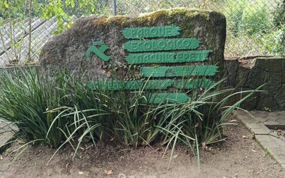 Macuiltépetl, tesoro con historia y naturaleza Pulmón verde de la capital veracruzana.