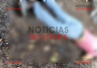 A𝗖𝗥𝗜𝗕𝗜𝗟𝗟A𝗡 𝗔 𝗠𝗔𝗦𝗖𝗨𝗟𝗜𝗡𝗢 𝗘𝗡 𝗘𝗟 𝗠𝗨𝗡𝗜𝗖𝗜𝗣𝗜𝗢 𝗗𝗘 𝗔𝗣𝗔𝗭𝗔𝗣𝗔𝗡