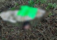 Localizan cuerpo d3c@pit@d0 en el municipio de Yanga