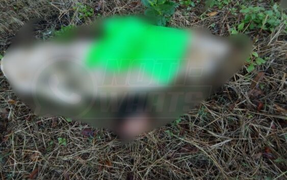 Localizan cuerpo d3c@pit@d0 en el municipio de Yanga