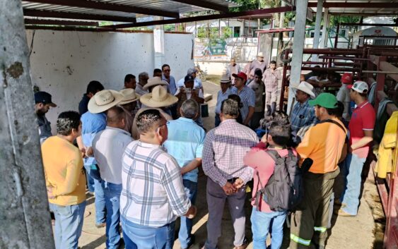 Atiende el Gobierno del Estado de Veracruz demanda de los productores ganaderos de Chiapas y Tabasco.