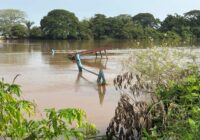 Suspenden servicio de panga entre Hidalgotitlán y Jáltipan por hundimiento.