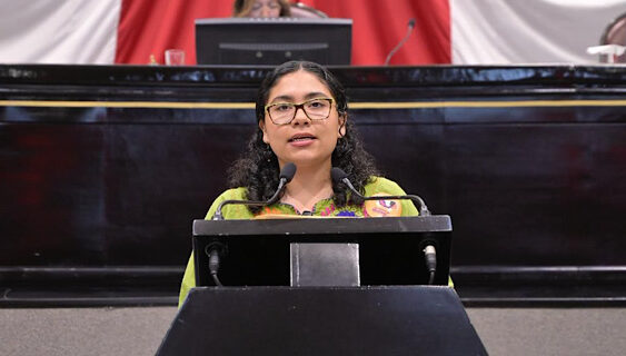 Verde avala ratificación de mandos de GN