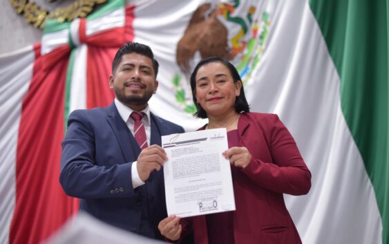 Tendría Veracruz Ley para la producción y comercialización del Aguacate