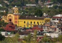 Habra “Congreso Mesoamericano de Abejas Nativas” en San Andrés Tuxtla: Rafa Fararoni