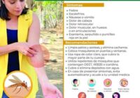 Llama IMSS Veracruz Sur a prevenir dengue