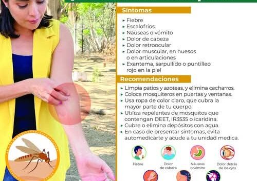 Llama IMSS Veracruz Sur a prevenir dengue