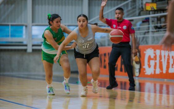 Leones con paso perfecto en la ABE