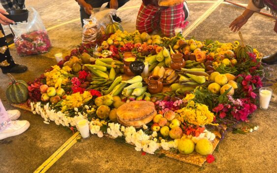 ARRANCAN LAS BRIGADAS DE SALUD COMUNITARIA EN SEMILLEROS CREATIVOS DE LA NIÑEZ INDÍGENA