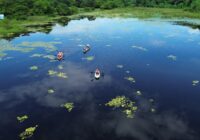 Con acciones coordinadas, CAEV y Sedema al rescate de la laguna de San Julián