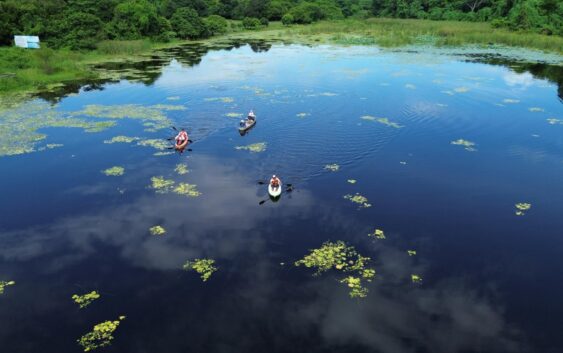 Con acciones coordinadas, CAEV y Sedema al rescate de la laguna de San Julián
