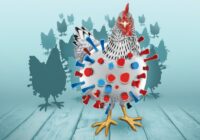 Alerta: nueva cepa de gripe aviar H5N1 más letal que la europea