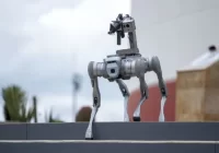 Perro robot vigilará Zacatecas; puede portar armas y realizar rescates