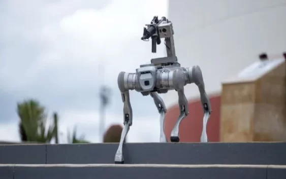 Perro robot vigilará Zacatecas; puede portar armas y realizar rescates