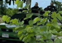 Ataque a agentes de Tránsito Estatal deja 1 muerto y 1 herido en Espinal, Veracruz