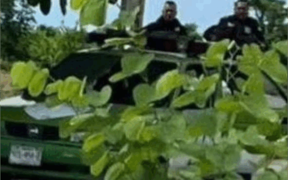 Ataque a agentes de Tránsito Estatal deja 1 muerto y 1 herido en Espinal, Veracruz