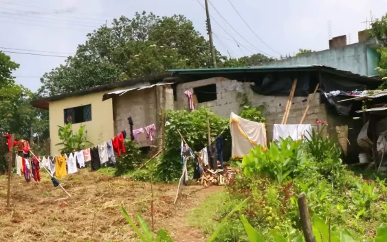 137 municipios de Veracruz, prioridad por ser zonas rurales con más marginación, violencia y desigualdad