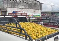 Se paga a 4 mil pesos la tonelada de naranja en San Manuel