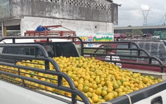 Se paga a 4 mil pesos la tonelada de naranja en San Manuel