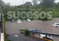 Se inunda agencia Toyota por torrencial; más de 20 autos dañados