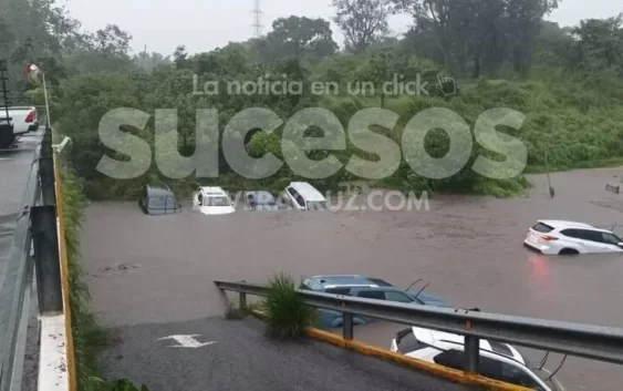 Se inunda agencia Toyota por torrencial; más de 20 autos dañados