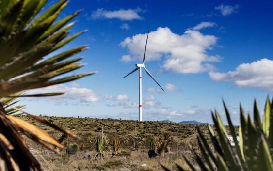 México toma una decisión extraña que tendrá consecuencias: Se espera menos del 1% en 2026