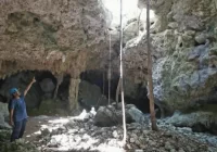 Semarnat reconoce daños ambientales del Tren Maya en cavernas y cavernas del tramo 5