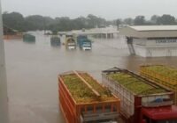 Camioneros de Martínez de la Torre lo perdieron todo